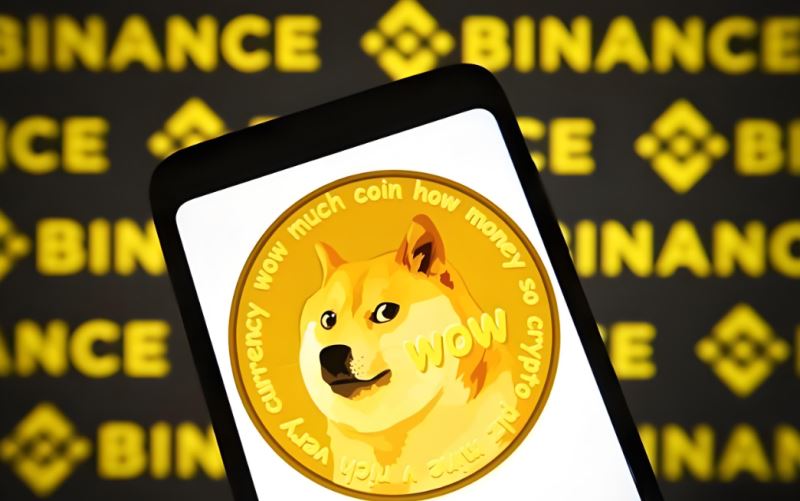 DOGE币未来12个月将达到3美元?狗狗币与索拉纳市值关系
