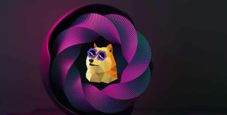 POLYDOGE币未来有前景吗？POLYDOGE币能涨到多少？