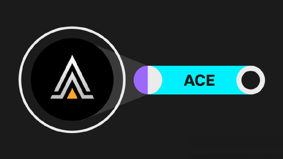 ACE币是百倍币？有什么特点？ACE币的发展前景解读