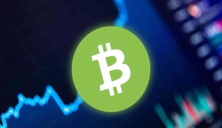 比特币现金(BCH)币未来如何？BCH币未来价格预测2025-2050年