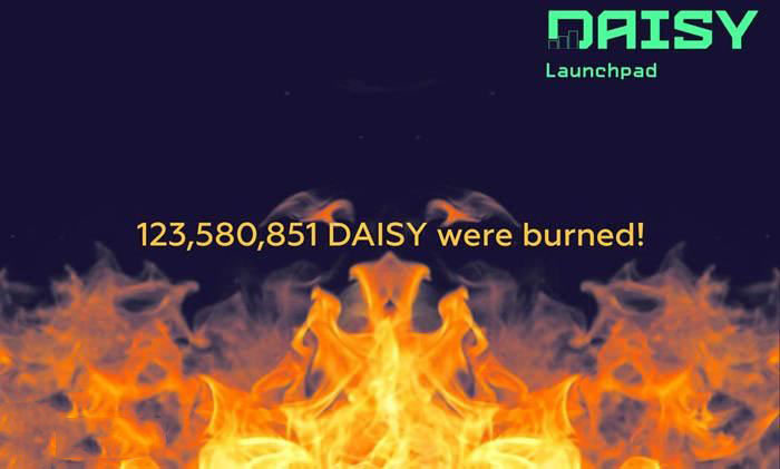 DAISY币多少钱？DAISY币历史价格一览