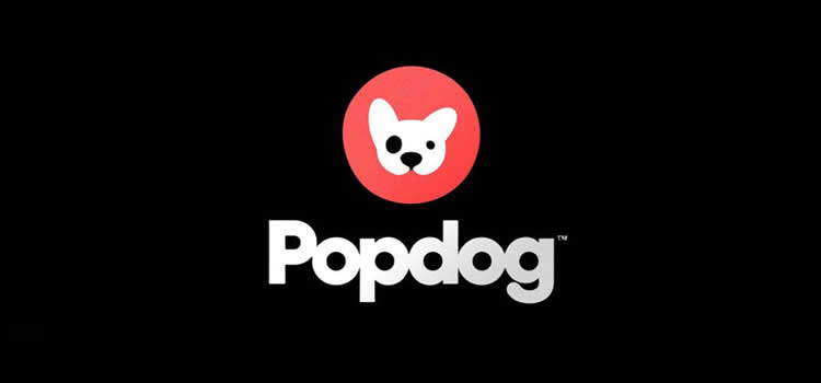 POPDOGE是什么币种？POPDOGE币发展历程