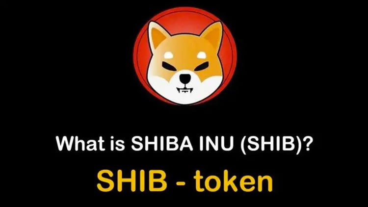 柴犬币(shib币)是什么？从迷因到奇迹,柴犬币如何征服加密世界？