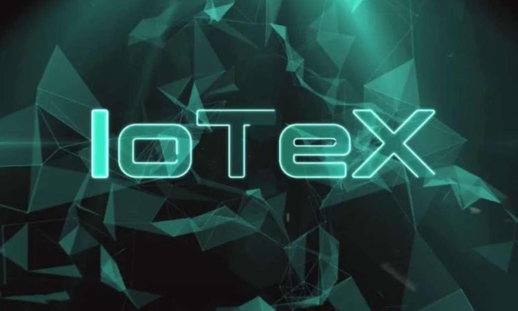 IOTX币和BOME币哪个更有百倍潜力？哪个更值得投资？