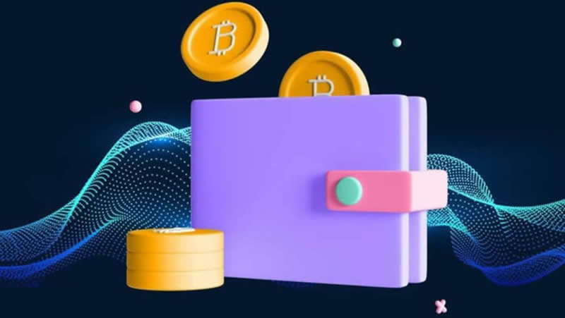 wallet提币到交易所手续费怎么扣？是扣币吗？