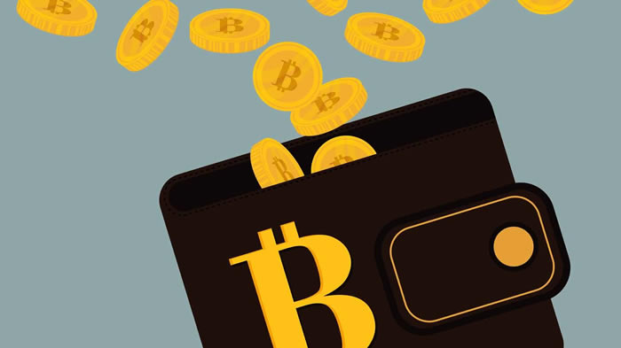 如何挑选比特币wallet？