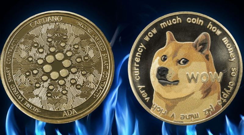 狗狗币(DOGE)和卡尔达诺(ADA)2025年6月预测 ADA 和狗狗币会迎来价格的大幅波动吗