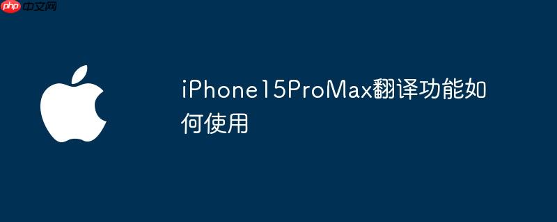 iPhone15ProMax翻译功能如何使用