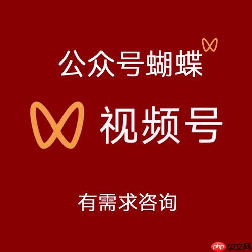 蝴蝶号流量入口全拆解:微信视频号如何实现精准涨粉？