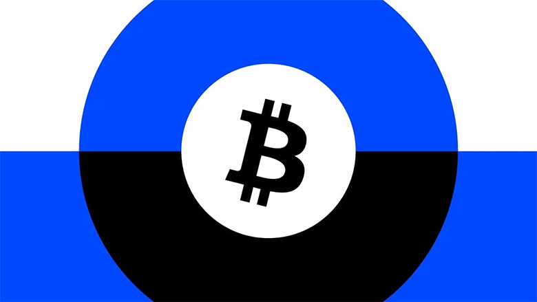 中本聪是谁？比特币最大持有者的净资产是多少？（2025最新）