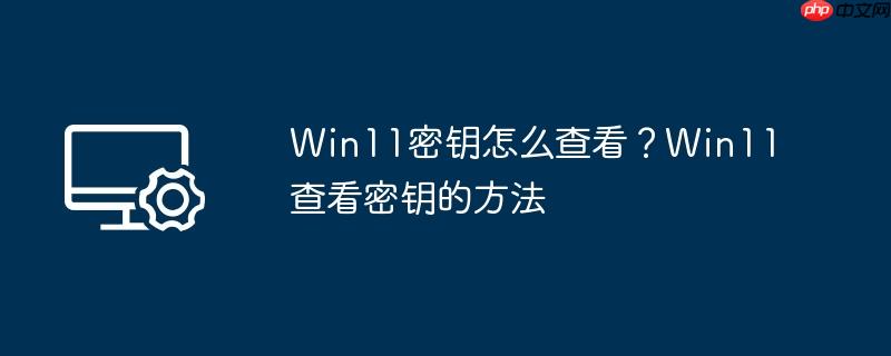 Win11密钥怎么查看？Win11查看密钥的方法