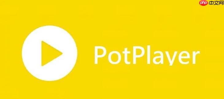 PotPlayer如何分屏播放 PotPlayer多画面同时显示技巧