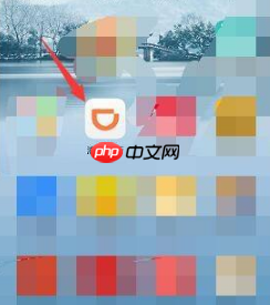 青菜拼车怎么开通 青菜拼车使用方法介绍