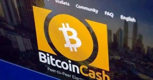 BCH算不上主流币：市值、接受度、开发活动和社区稳定性不足