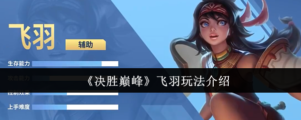 决胜巅峰飞羽怎么玩