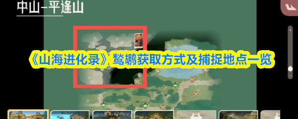 山海进化录鹙鹕在哪抓