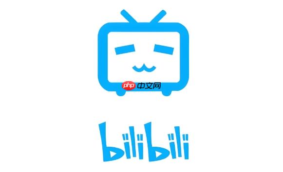 bilibili怎么看历史记录_bilibili观看历史查看教程