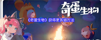 奇蛋生物猫如何获取