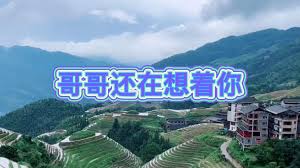 哪种民间戏曲被誉为中国最美乡村音乐