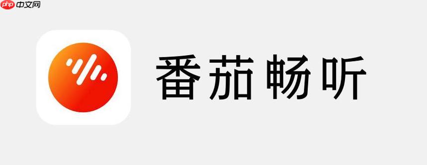 怎么打开番茄畅听APP_番茄畅听APP启动与登录方法详细步骤