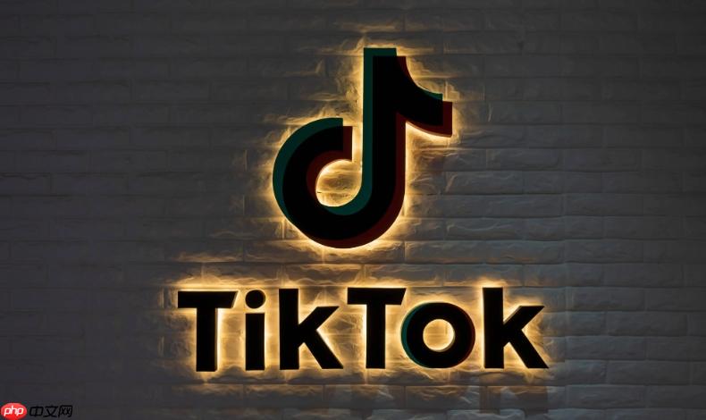 TikTok视频在线观看入口 TikTok免费看视频在线入口