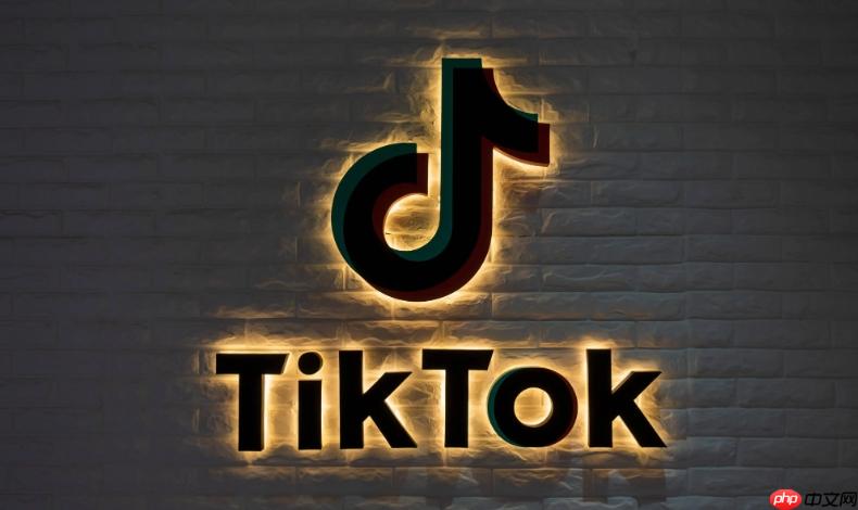 TikTok入口网页直接看 TikTok网页版一键直达