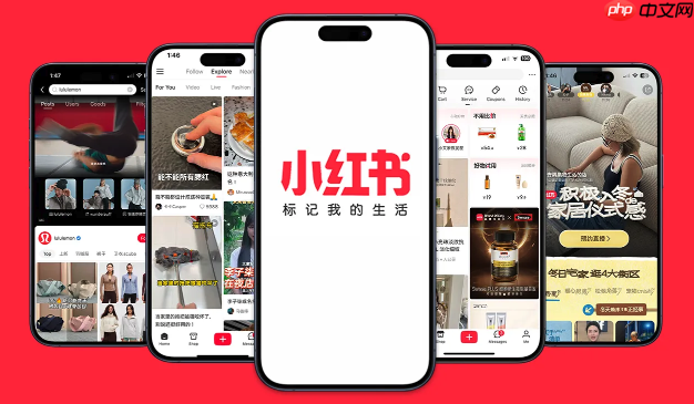 小红书蒲公英入口怎么打开_小红书蒲公英官网使用攻略