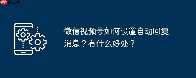 微信视频号如何设置自动回复消息？有什么好处？