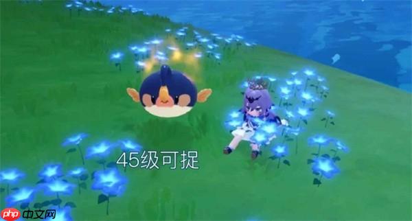 米姆米姆哈永夜之岛精英米姆捕捉攻略