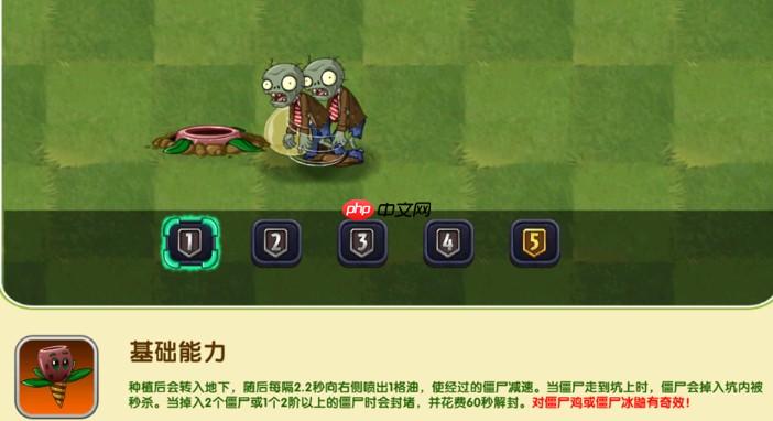 植物大战僵尸2橄榄坑适性测评