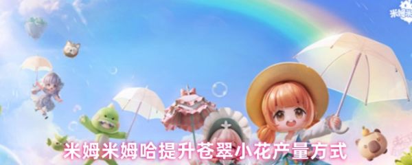 米姆米姆哈苍翠小花产量怎么提升