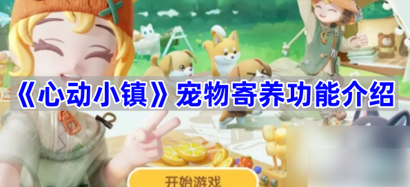 心动小镇如何寄养猫咪