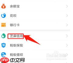 如何在支付宝点亮个人信息13颗星星