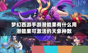 梦幻西游潜能果有啥作用
