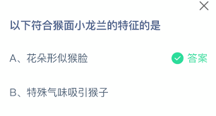 猴面小龙兰的特征是什么