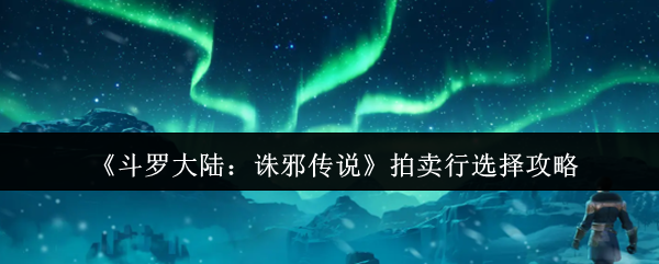 斗罗大陆诛邪传说拍卖行怎么选