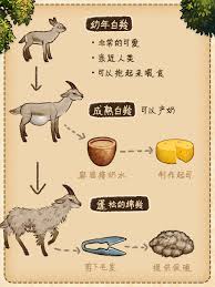 村落人生植物篇生存指南