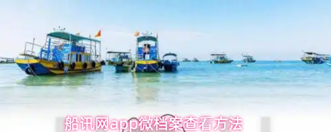 船讯网app怎么查看微档案