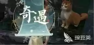 诛仙2奇遇攻略如何做