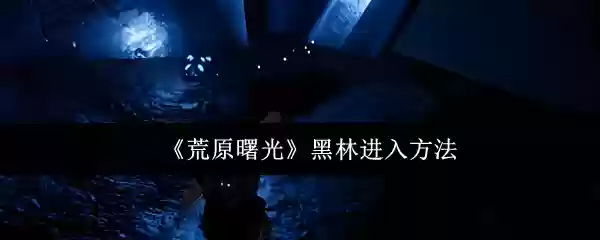 荒原曙光黑林怎么进入