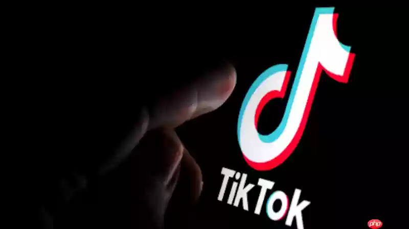 TikTok账号被限制发布如何解决