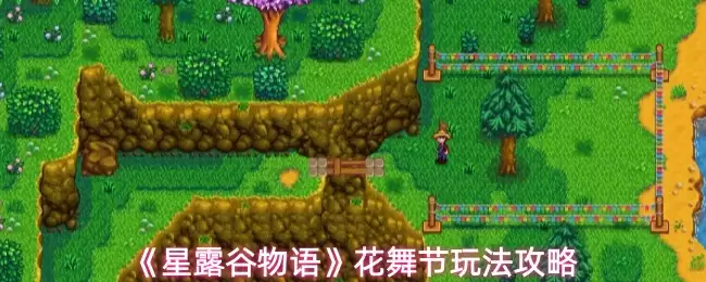 星露谷物语花舞节怎么玩