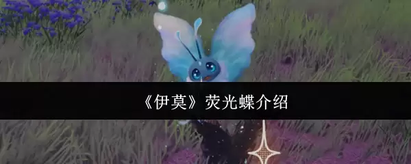 伊莫荧光蝶怎么样