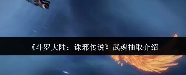 斗罗大陆诛邪传说武魂怎么抽