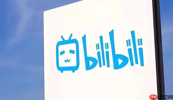 Bilibili官方网页版 Bilibili网站登录入口