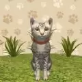动物模拟生存