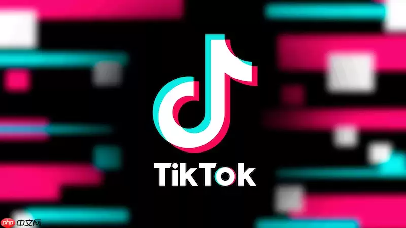 TikTok直播画面卡顿怎么办 TikTok直播画面优化与网络调整方法