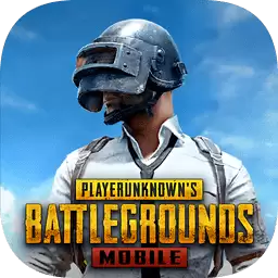 pubg模拟器