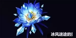 原神丝柯克圣遗物怎么选