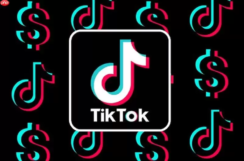 TikTok粉丝消息收不到怎么办 TikTok粉丝消息接收修复技巧